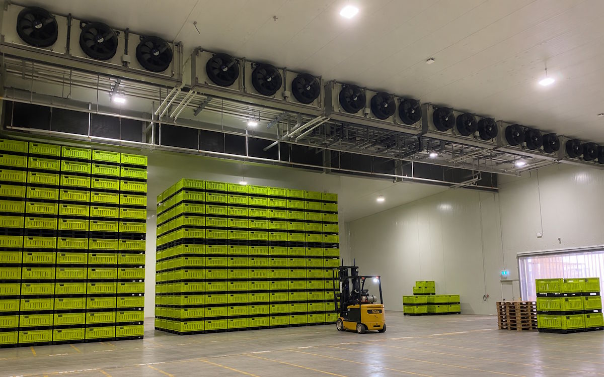 Kiwifruit Packhouse