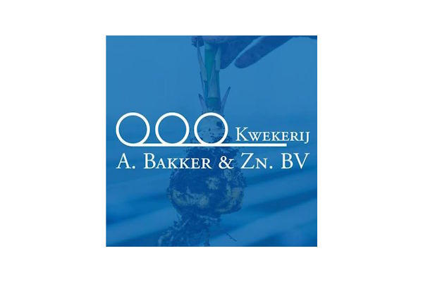 Bakker Bulbs